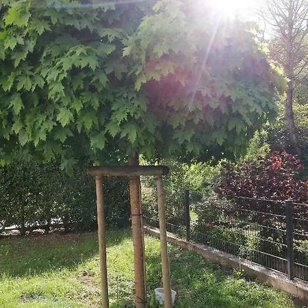 Kleine Auszeit Appartement Waldrach