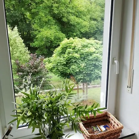 Kleine Auszeit * Waldrach